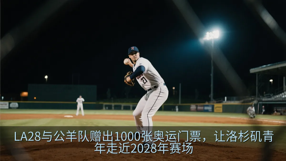 夜间棒球比赛中投手准备投球